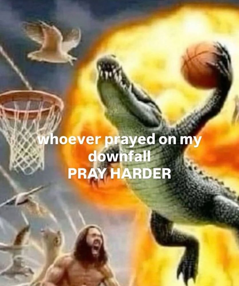 meme of an alligator (?) dunking a basketball with the text 'whoever prayed on my downfall PRAY HARDER'