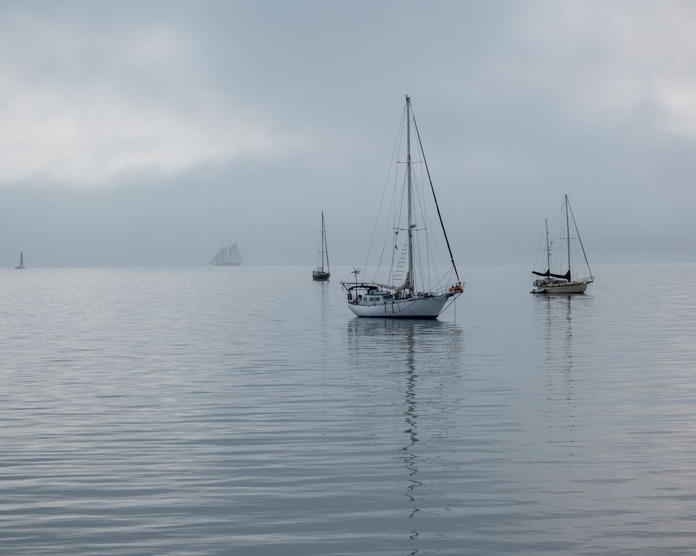 3 sailboats in the foreground on a still sea, a few in the fog in the distance