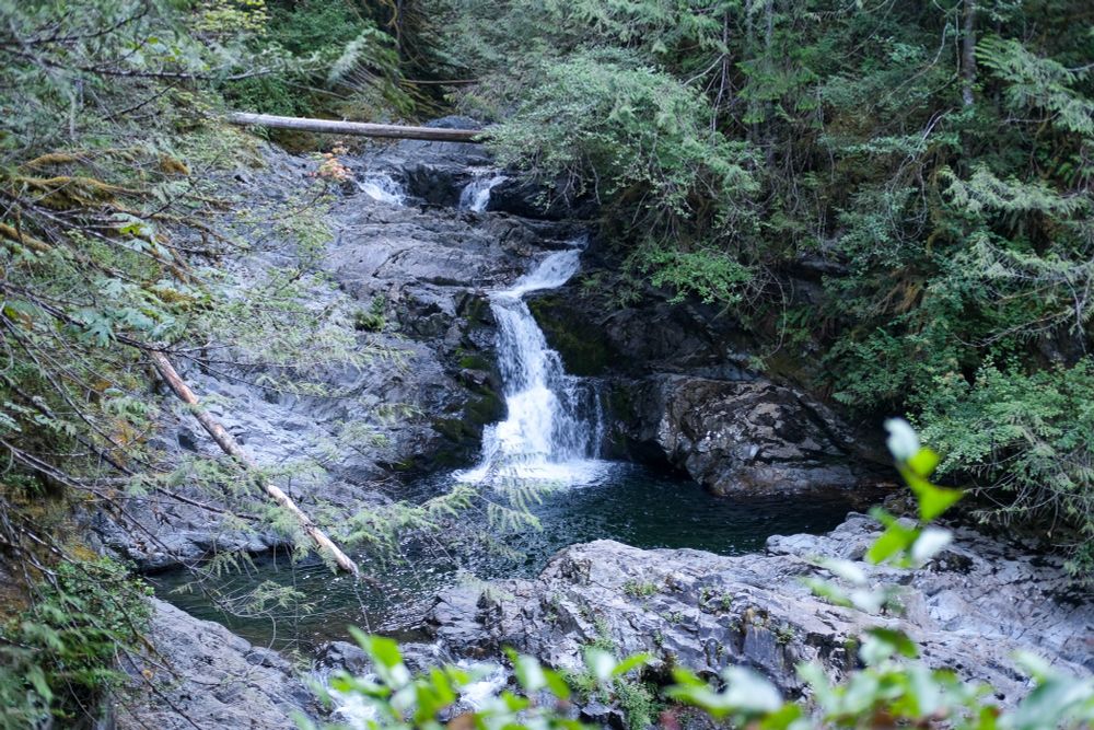 Several waterfalls dropping into a wider pool, trees surround them, including a few that have fallen across the water