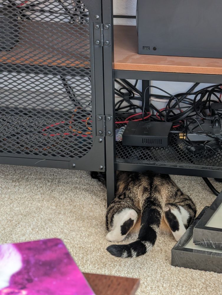 Legs, butt and tail visible of a cat who has shoved herself under a media center