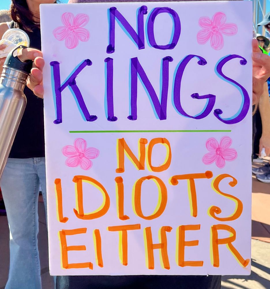 Colorful sign says, "No kings. No idiots either."