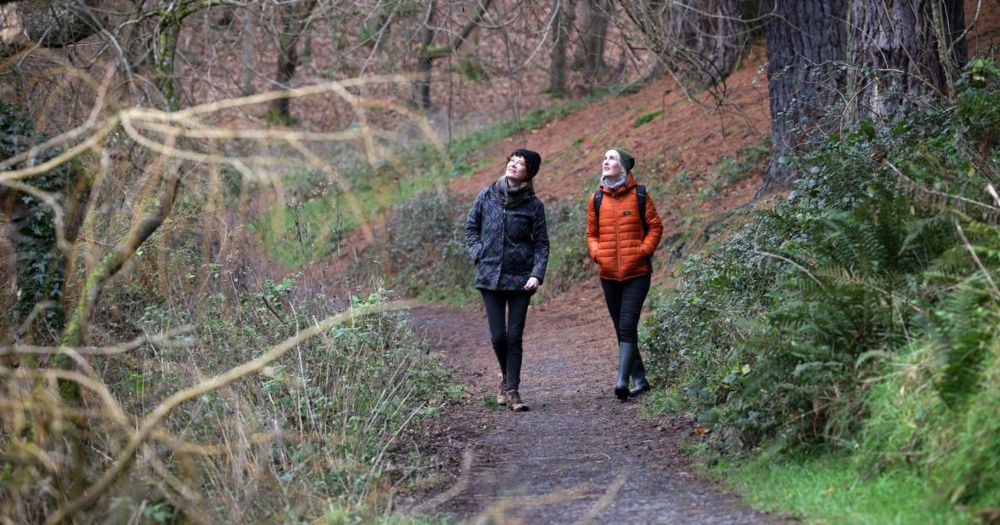 Nature therapy: How to get your ‘daily dose of trees’ to boost body and mind