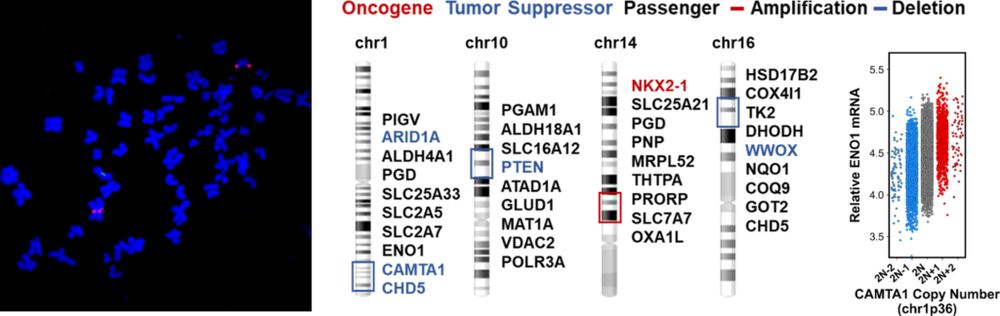 Postdoctoral Fellow- Chemical Biology/Cancer Metabolism