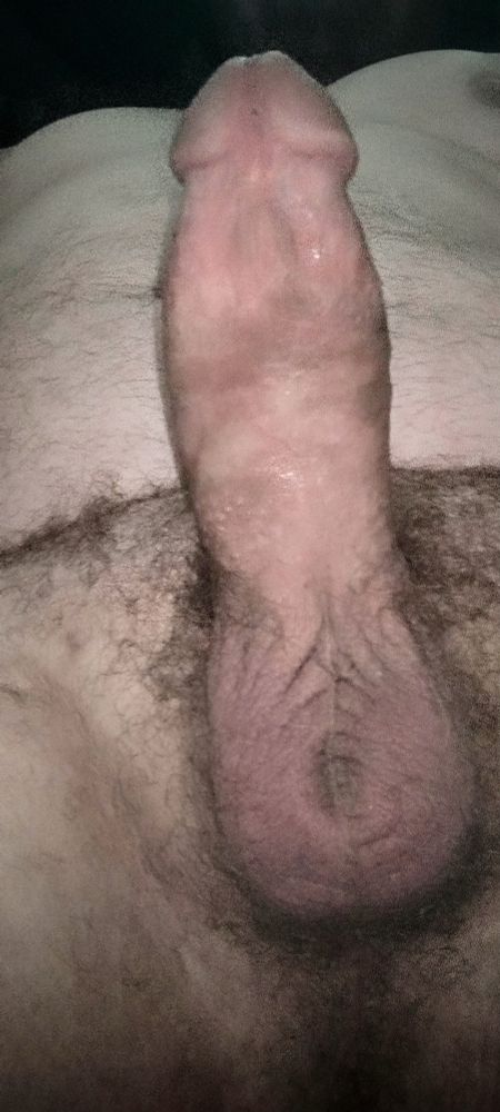 Both are pictures of my erect penis standing at attention nice and tall and with my balls hanging down. My hairy pubes, my belly, my nipples and my pecs are visible in a reclined pose. 
