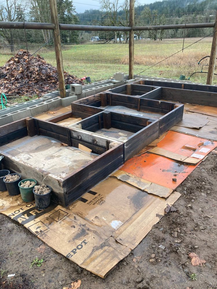 The same cardboard-covered area, now with wooden raised-bed frames installed in a contiguous pattern.
