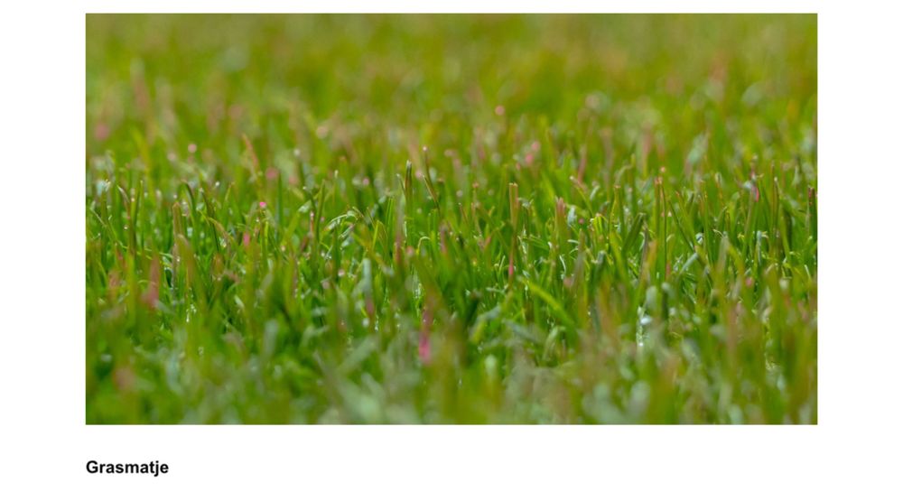 Foto van een stuk gras, n.a.v. de aankoop van een stukje gras uit de Johan Cruijff Arena aan het einde van seizoen 24/25 