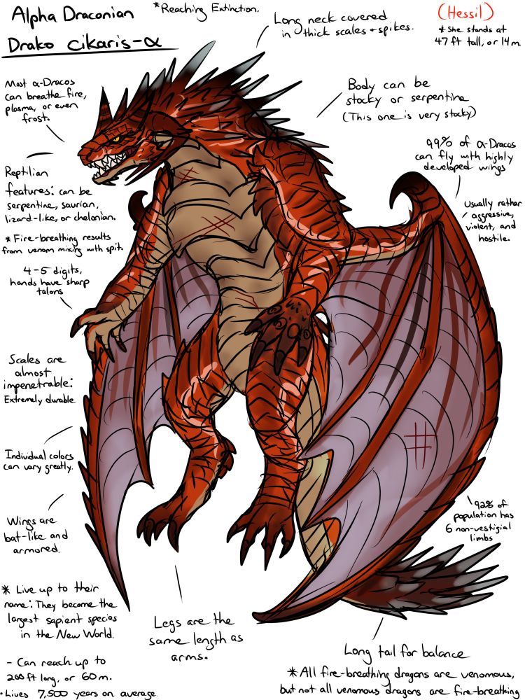 Physiology labeling of a burly red dragon