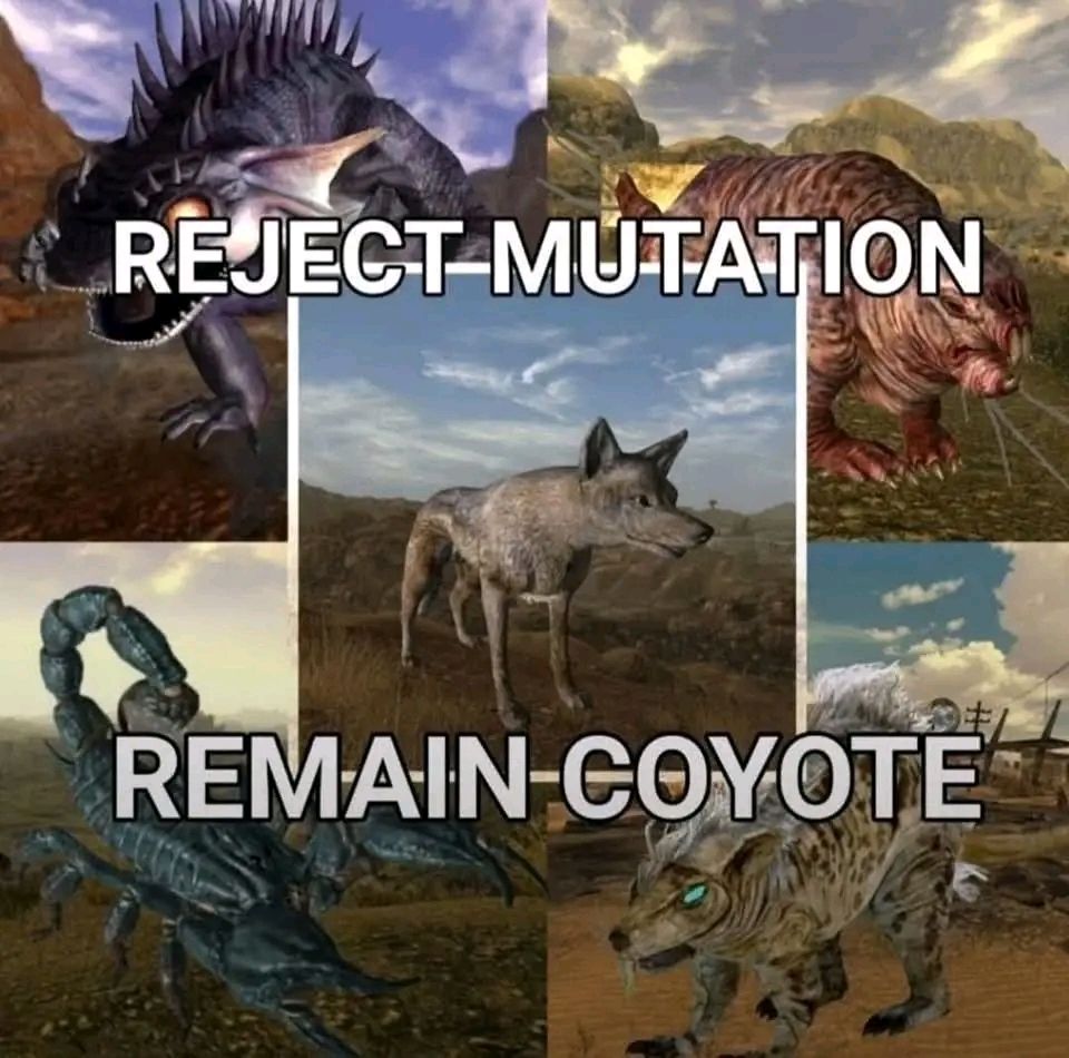 An image of several creatures from the video game Fallout New Vegas. The four corners have, from top left and clockwise: 

A Fire Gecko, a Molerat, a Giant Rat, and a Radscorpion.

Overlaid on this is an image of the New Vegas rendering of a coyote with the text "Reject Mutation, Remain Coyote".