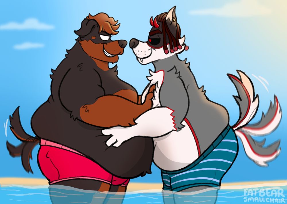 a fat furry dog / wolf hugging at the beach 