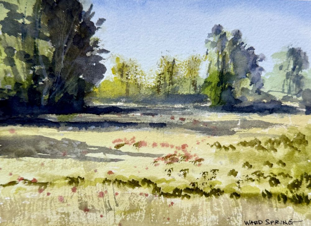 Watercolor painting of a meadow in mid summer. Trees surround the sunlit grasses.