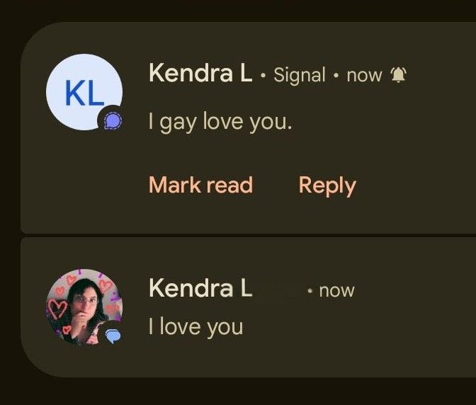 i screenshot of some android notifications. 
the first is a text from Kendra that reads "I love you"
the next is a signal message from Kendra that reads "I gay love you"