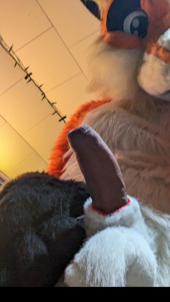 Orange and white fox fursuit with a fluffy sheath and balls. Taken from below looking up, at a human dick put through the sheath