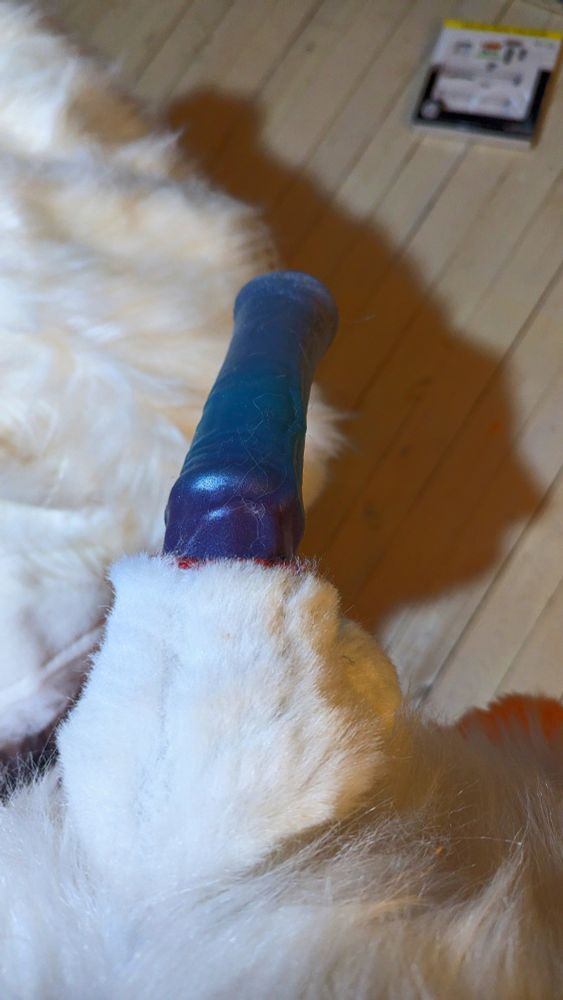 Orange and white fox fursuit with a fluffy sheath and balls. Taken from above looking down, at a large horse toy put through the sheath
