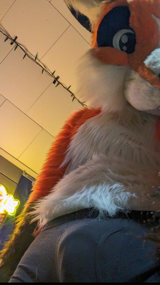 Orange and white fox fursuit with a fluffy sheath and balls. Taken from below looking up, at a large bulge in black underwear being worn