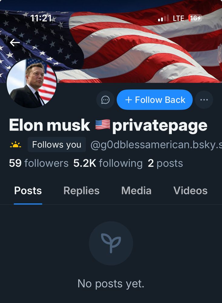 A screen capture of a Elon musk – American flag emoji – privatepage. 