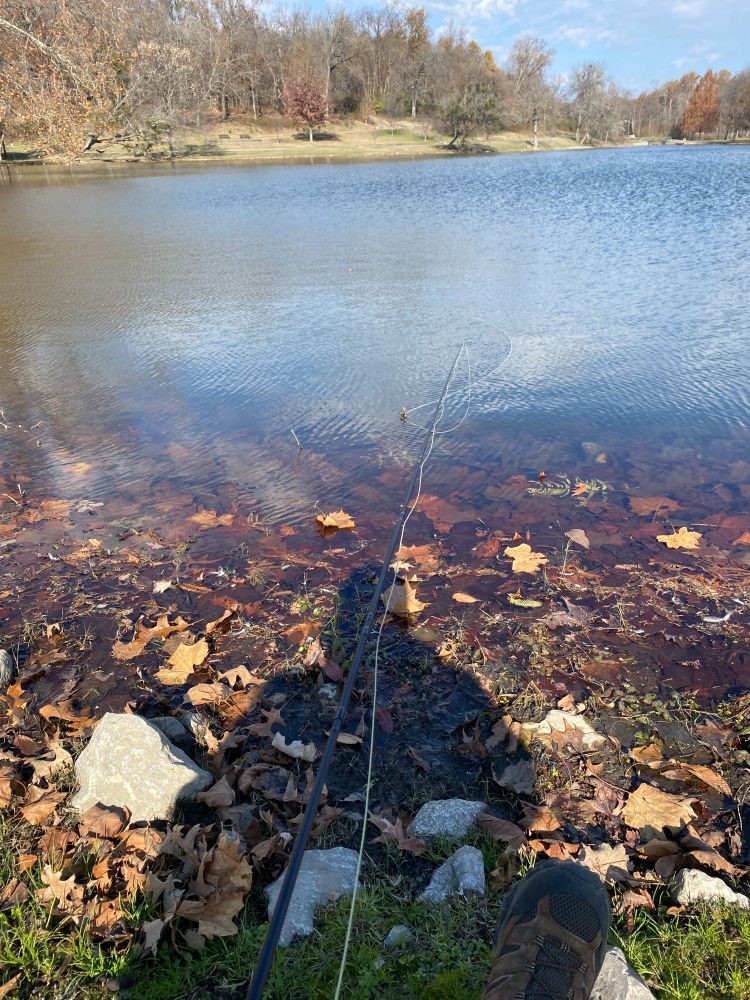 Man fishing in a lake from the shore.