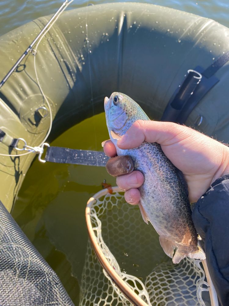 Man holding trout he caught