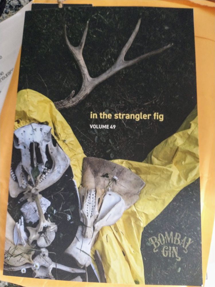 cover of Bombay Gin Literary Journal,.Vol. 49: Strangler Fig