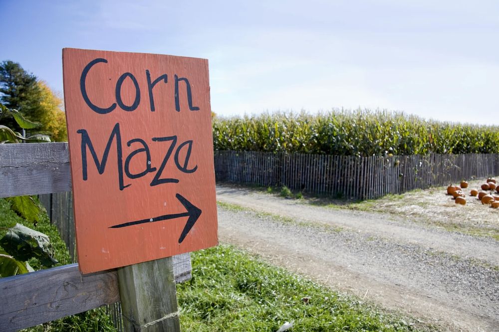 "Corn Maze" sign