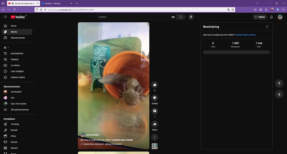 A screenshot from the YouTube website showing a short of our axolotl pets, which has over 1000 views.