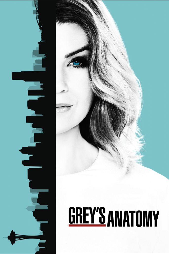 a woman with shoulder-length hair is on the right side; a city skyline silhouette is on the left. text reads "Grey's Anatomy" at the bottom.