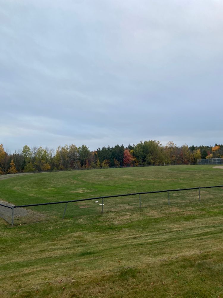 An empty baseball field with an assortment of trees around the edges.