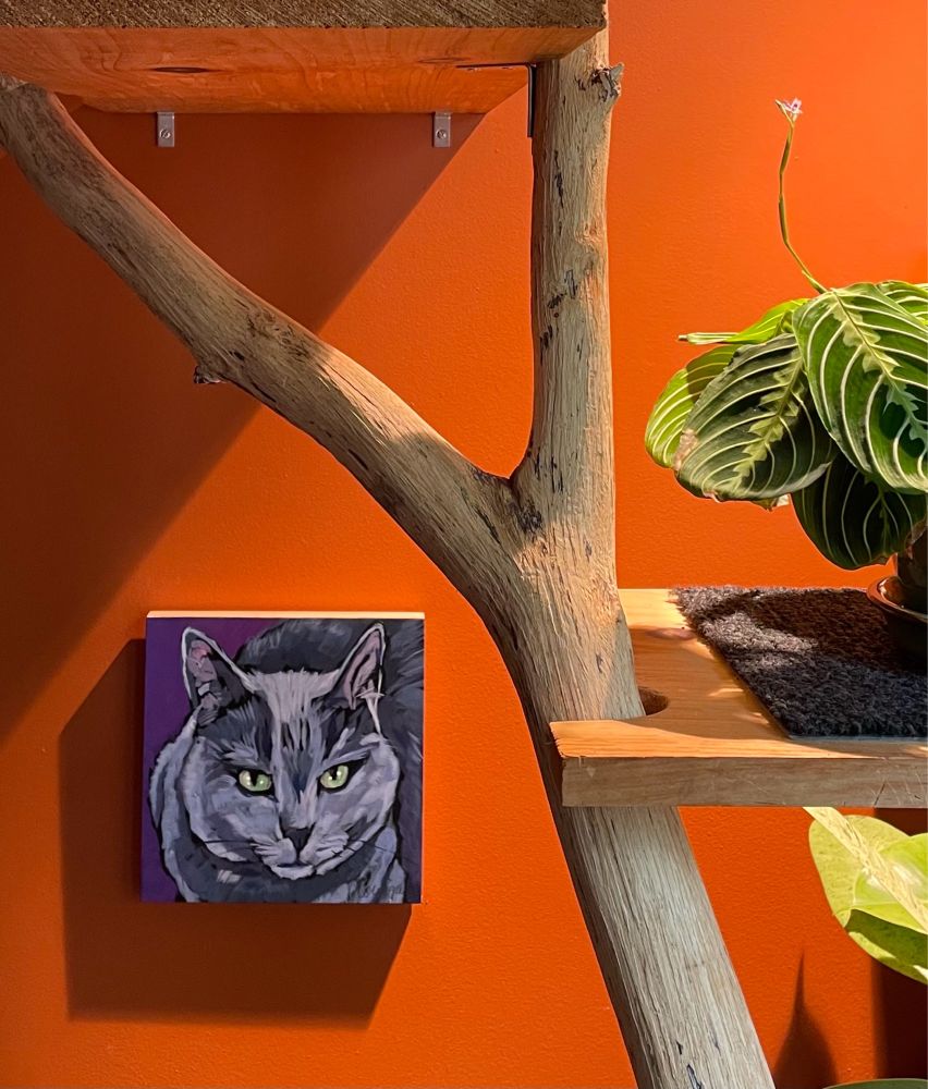 Square painting of a gray cat with yellow eyes in spare, bold and expressive brushstrokes. The painting is on an orange wall, next to a tree branch supporting shelves. One shelf holds a blooming Maranta Leuconeura plant.