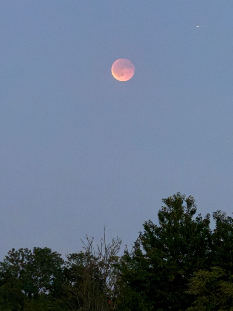 Foto von Mondfinsternis, schwach, Himmel etwas hell grau-blau, unten paar Bäume
