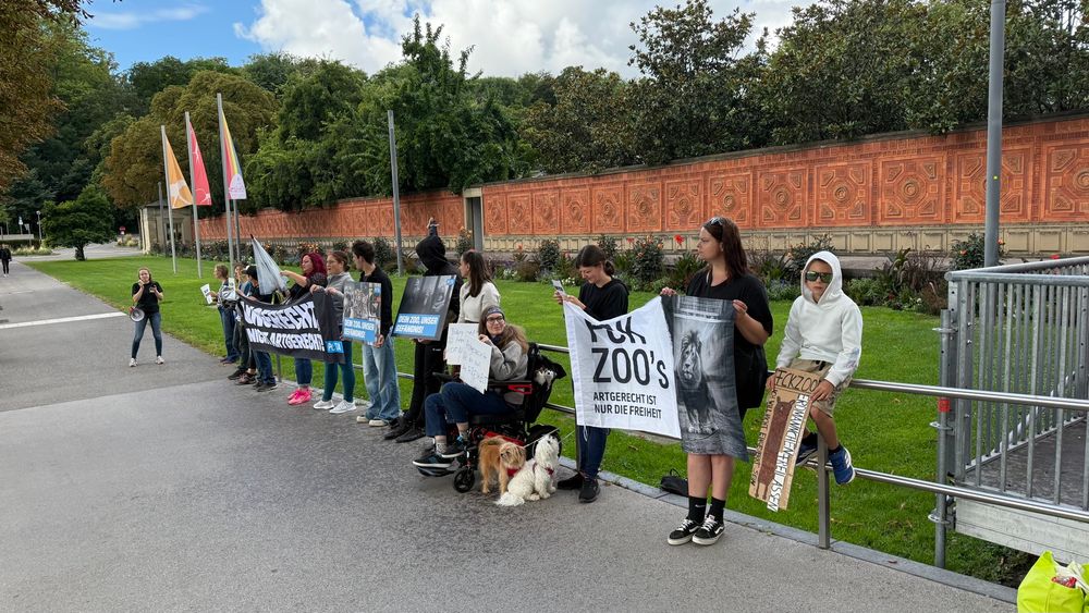 Foto – Eine Gruppe von rund 15 Demonstrierenden steht am Rand eines Gehwegs vor einer langen roten Mauer mit Ornamenten. Sie halten Banner und Schilder gegen Zoos, darunter „FCK ZOO’s – Artgerecht ist nur die Freiheit“ und „Den Zoo, unser Gefängnis“. Eine Person spricht ins Megafon, andere fotografieren oder filmen. In der Mitte sitzt eine Frau im Rollstuhl mit zwei kleinen Hunden, die ebenfalls dabei sind. Rechts hält ein Junge im weißen Hoodie ein Pappschild mit der Aufschrift „FCK ZOO“ und weiteren Botschaften.