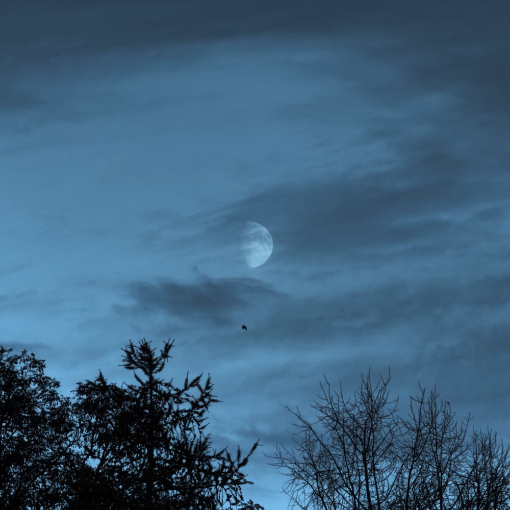 Glad moon in an evening sky, lightly covered by clouds