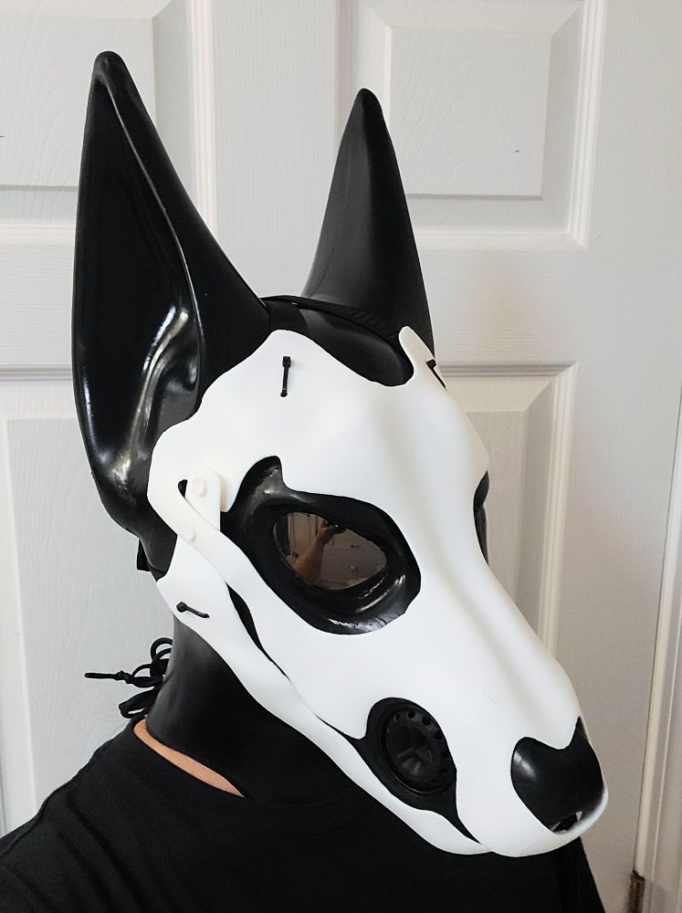 Front 3/4 view of canine jackal latex hood with gold mirror flash lenses. A white skull mask is strapped over the face/muzzle of the hood. The hood itself is jet black with a bit of shine.