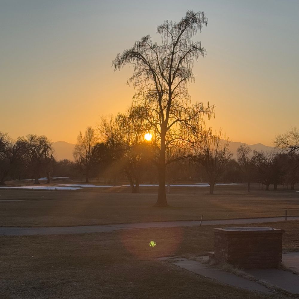 Sunset pic at an slc public park