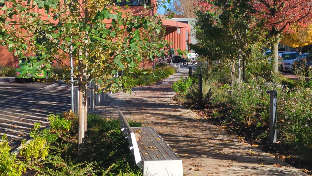 View along a city street in the autumn sunshine. Benches, changing trees, and the library in the distance. A good day to vote.