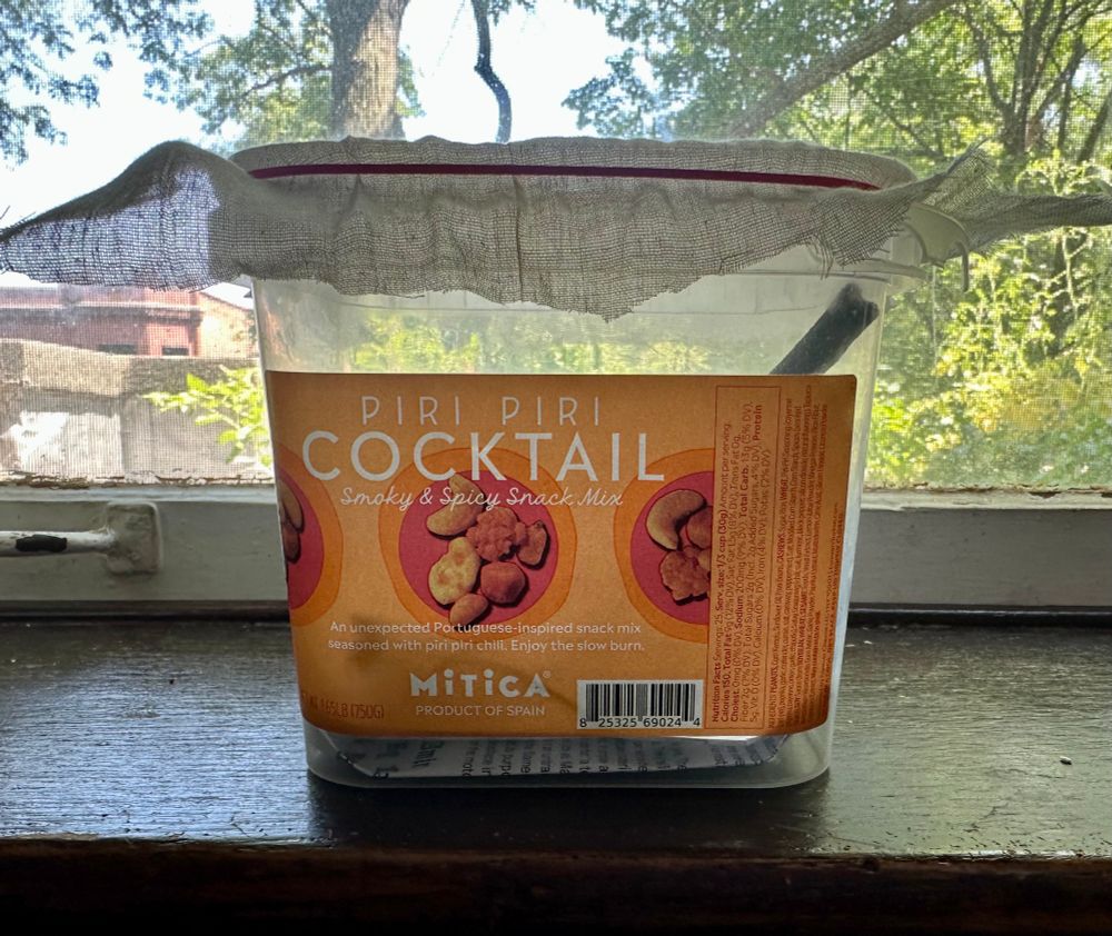 The front of the terrarium with a label reading Piri Piri Cocktail mix 