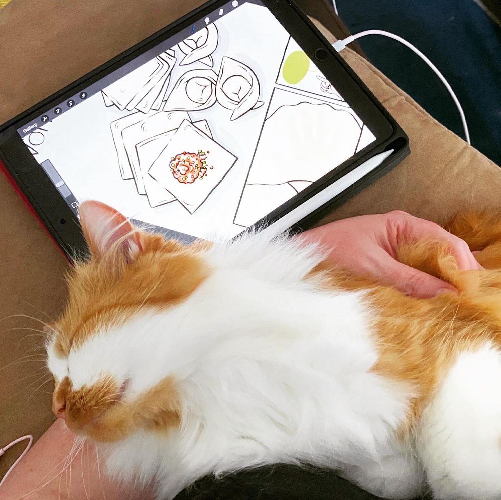 A fluffy orange cat sleeping in my arm in front of a drawing tablet 