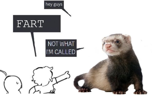 A ferret variation of the "NOT WHAT I'M CALLED" meme. Speech bubbles from top to bottom:
hey guys
FART
NOT WHAT I'M CALLED