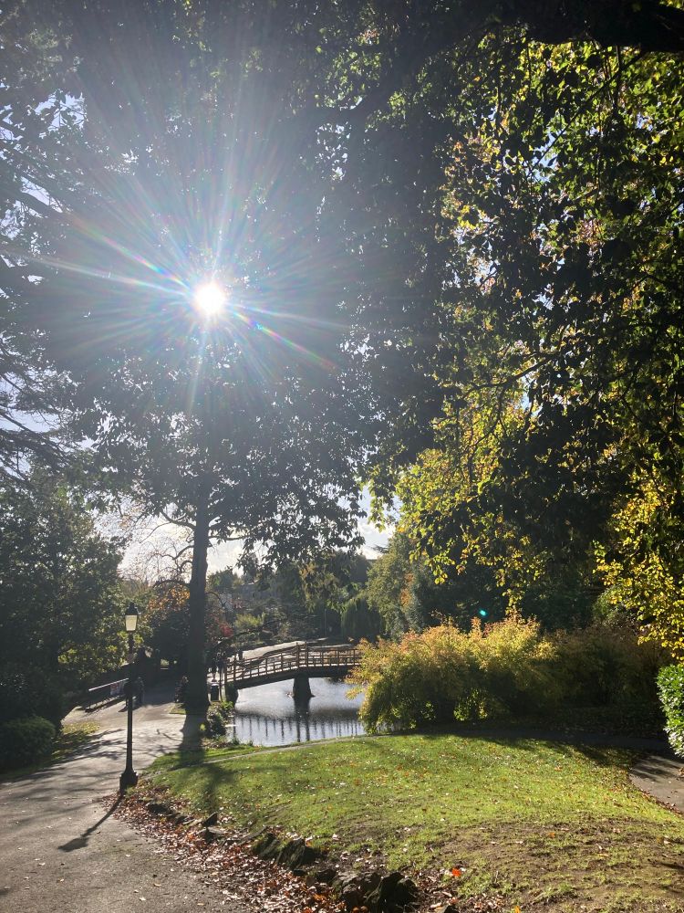 Sun shines on a park - bridge over a pond and lots of trees.