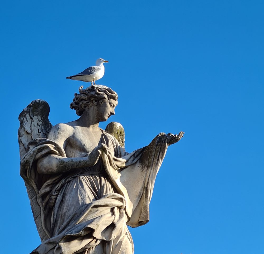 A seagull perched on the head of a marble angel statue against a bright blue sky.