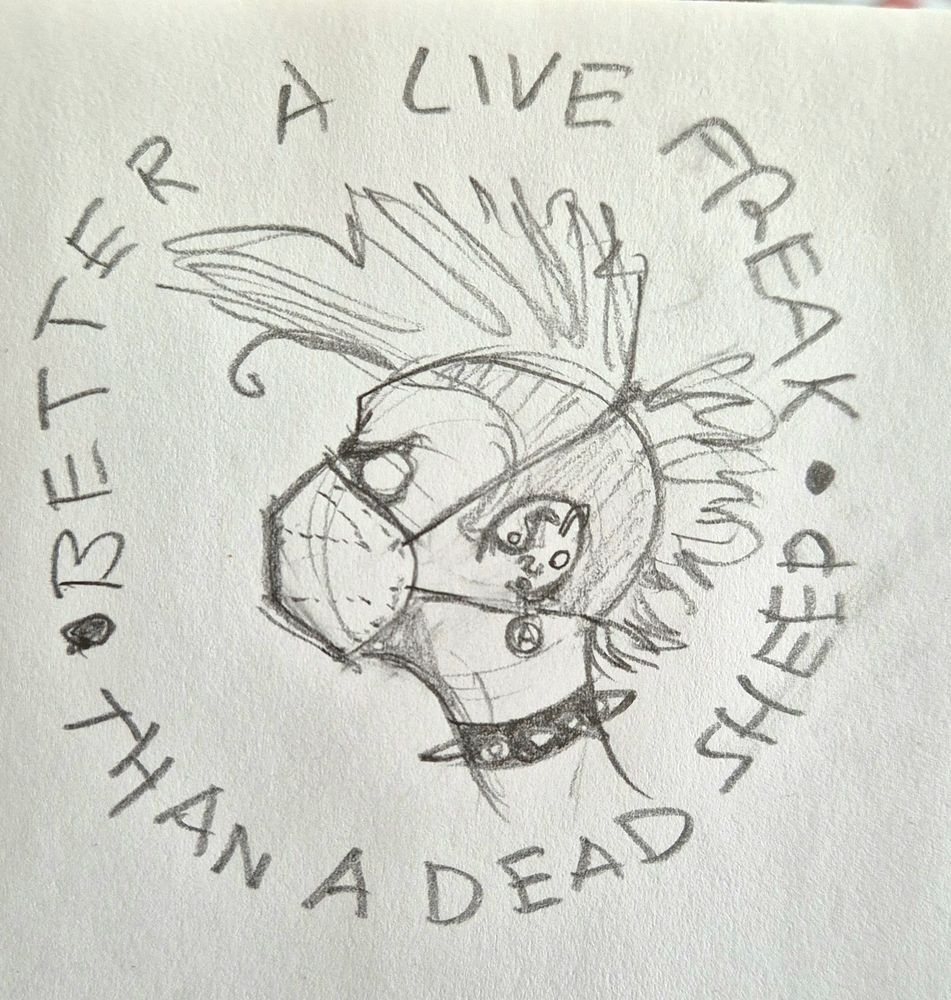 Rough pencil sketch of a classic punk head with cockscomb hair, ear piercings, and spiked collar, wearing a respirator mask. Circle of text around it says "better a live freak than a dead sheep".
