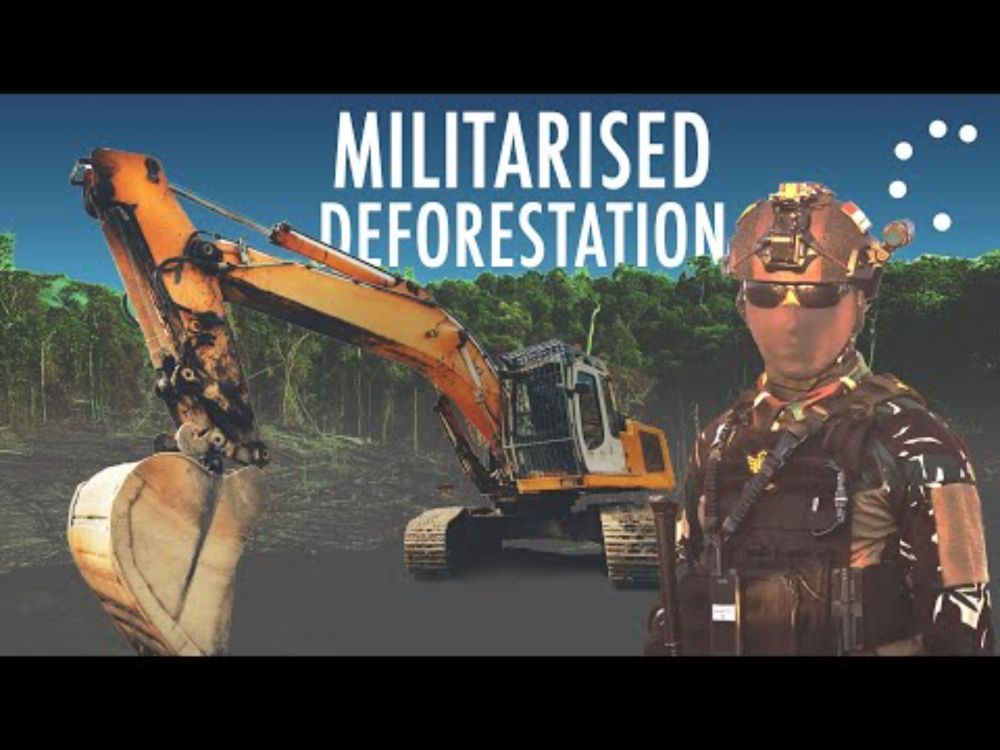 Militarised deforestation in Papua: how Indonesia is converting indigenous forest into farms