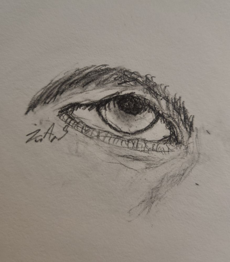 Eye of Odin 👁 
