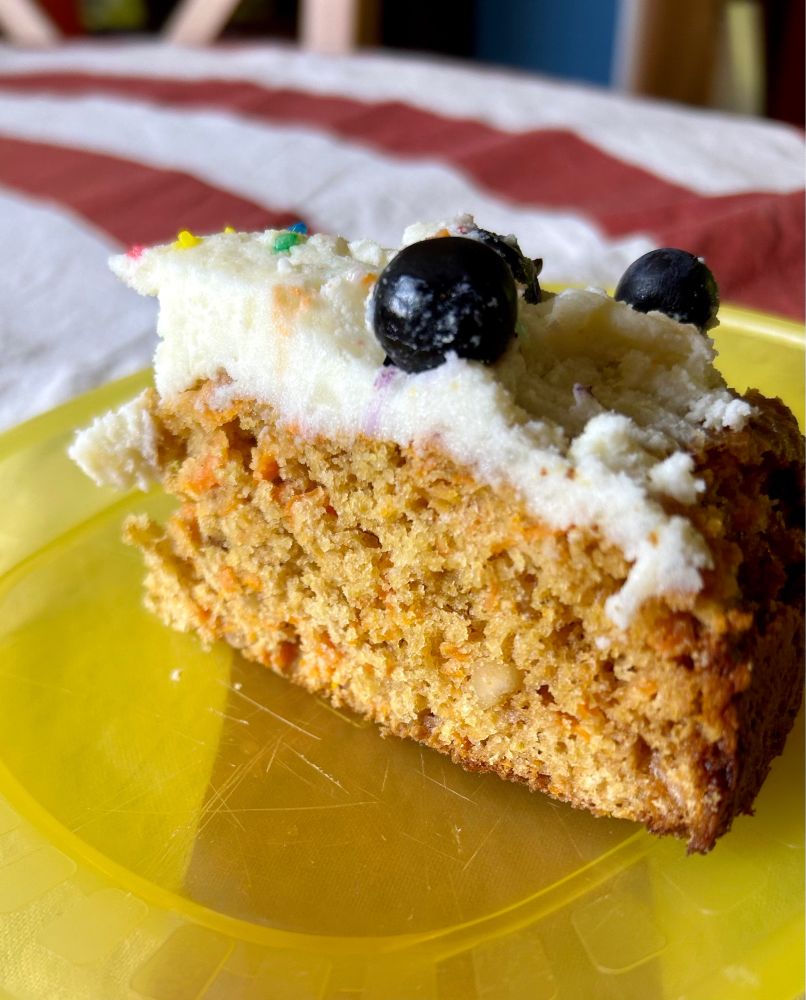 Slice of dog friendly cake