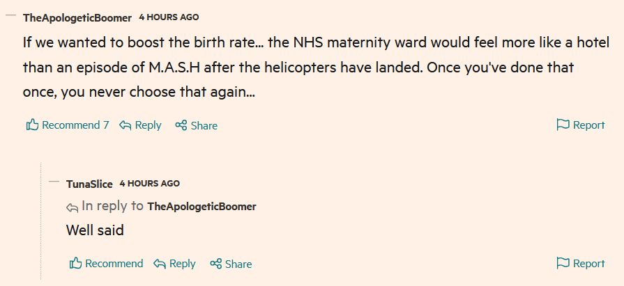 FT comment: "If we wanted to boost the birth rate... the NHS maternity ward would feel more like a hotel than an episode of M.A.S.H after the helicopters have landed. Once you've done that once, you never choose that again..."