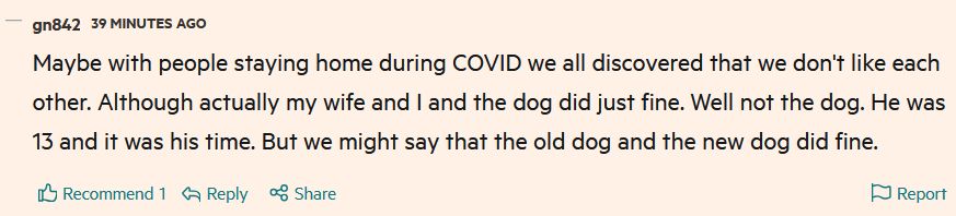 FT comment: Maybe with people staying home during COVID we all discovered that we don't like each other. Although actually my wife and I and the dog did just fine. Well not the dog. He was 13 and it was his time. But we might say that the old dog and the new dog did fine.