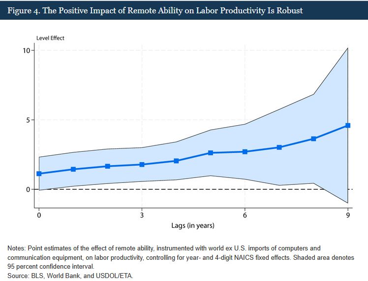 Figure 4. The Positive Impact of Remote Ability on Labor Productivity Is Robust