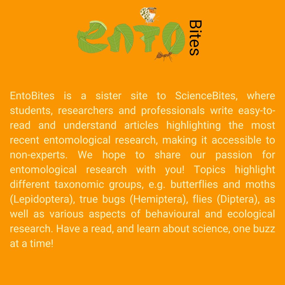 A text on orange background which reads: EntoBites is a sister site to ScienceBites, where students, researchers and professionals write easy-to-read and understand articles highlighting the most recent entomological research, making it accessible to non-experts. We hope to share our passion for entomological research with you! Topics highlight different taxonomic groups, e.g. butterflies and moths (Lepidoptera), true bugs (Hemiptera), flies (Diptera), as well as various aspects of behavioural and ecological research. Have a read, and learn about science, one buzz at a time!
