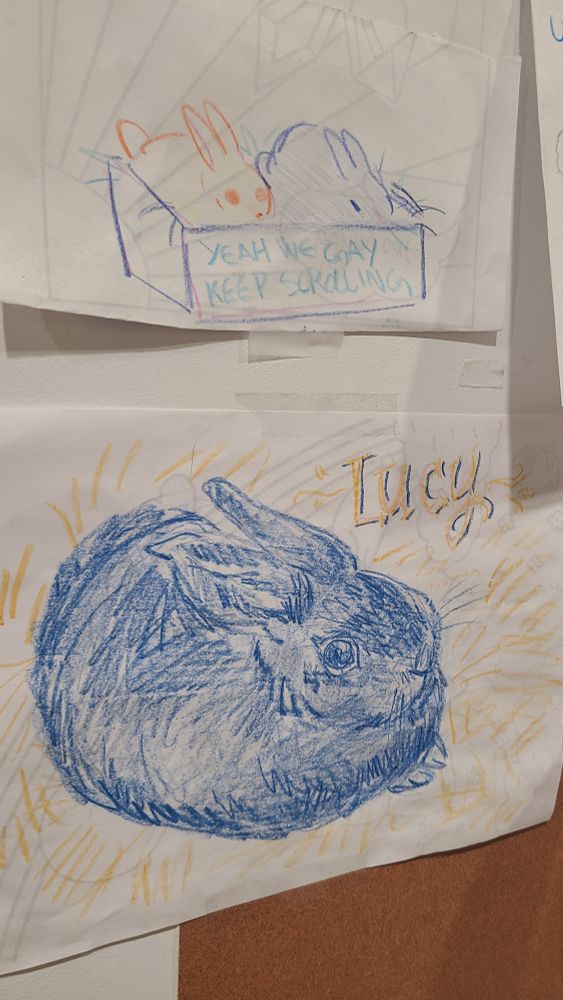 A doodle of two bunnies in a box that says "Yeah we gay keep scrolling"
A beautiful portrait of a bunny named Lucy.