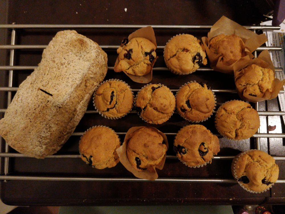 a loaf of bread and 12 blueberry cupcakes sitting on a cooking rack