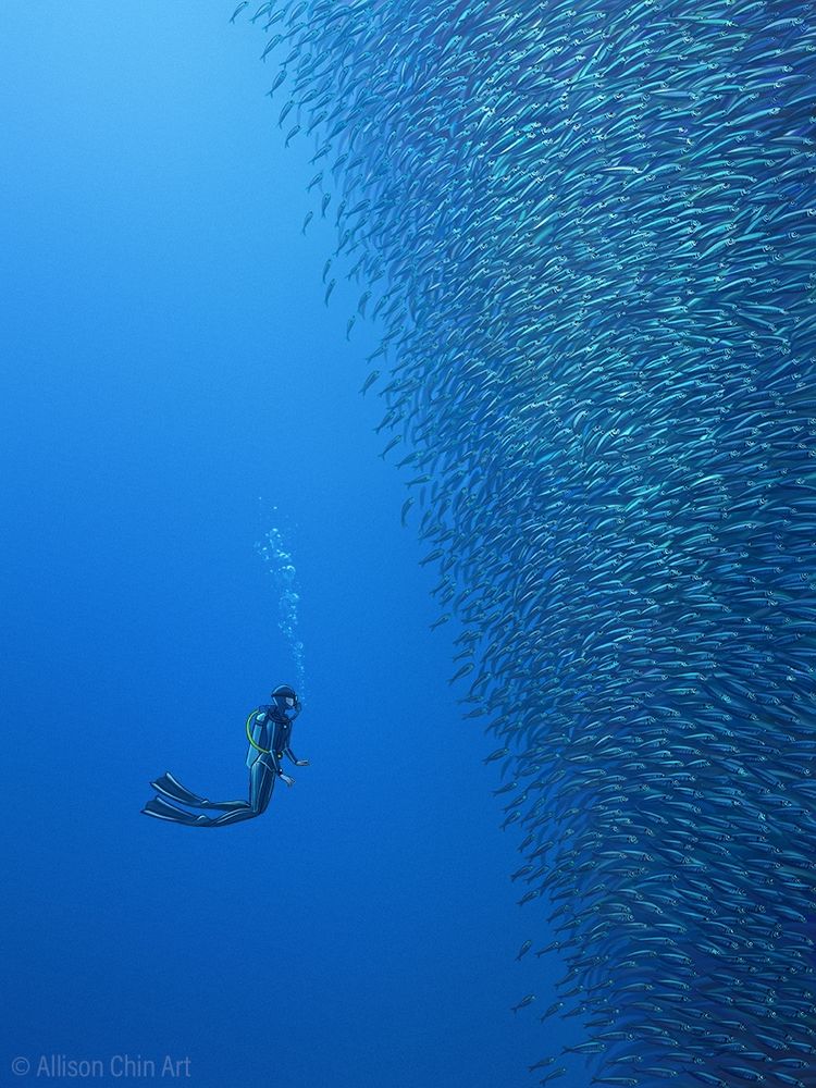 Painting of a scuba diver before a huge wall of fish
