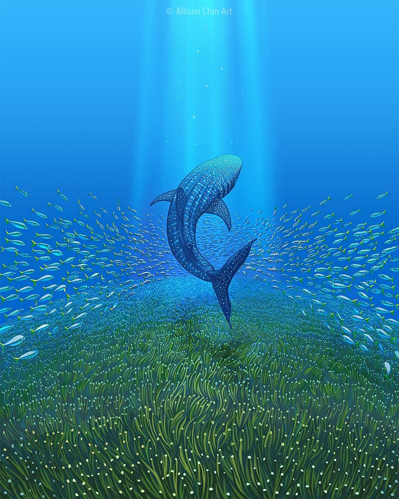 Illustration of a whale shark over a bed of seagrass, encircled by a school of yellowtail scad fish, swimming into the distant blue of the ocean.